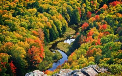 THE BEST PLACES FOR FALL COLORS IN MICHIGAN