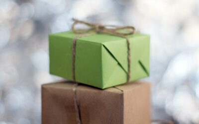 19 MICHIGAN-MADE VEGAN AND CRUELTY-FREE HOLIDAY GIFTS