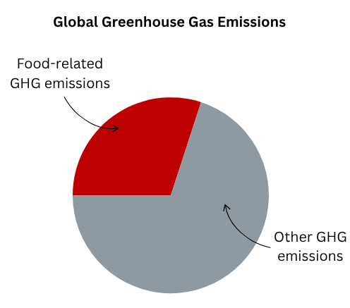 Global Greenhouse Gas Emissions